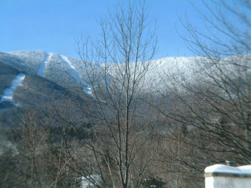Sugartree Inn Warren Εξωτερικό φωτογραφία